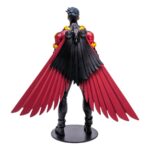 DC Multiverse Red Robin
